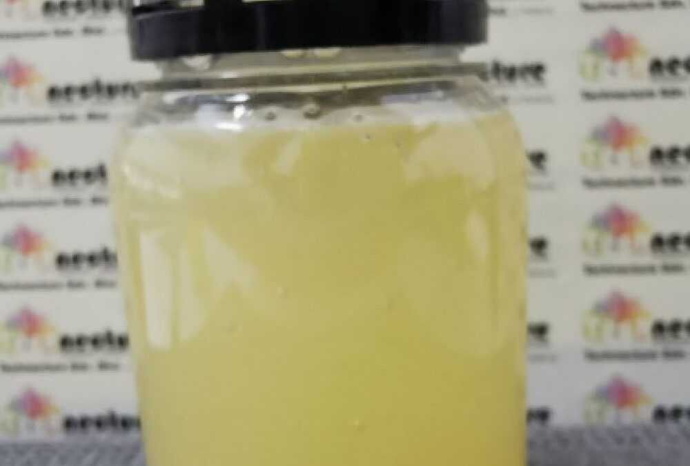 Pre wash Scalp Treatment