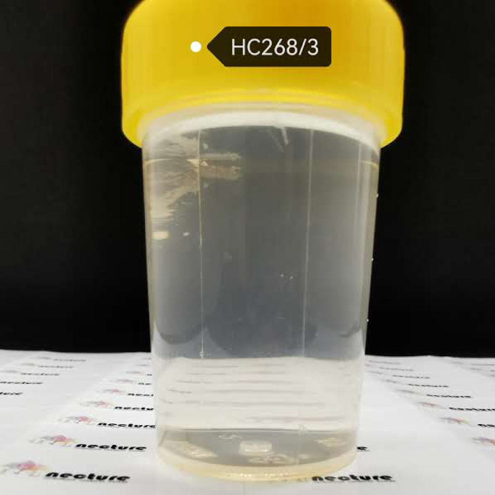 hc23