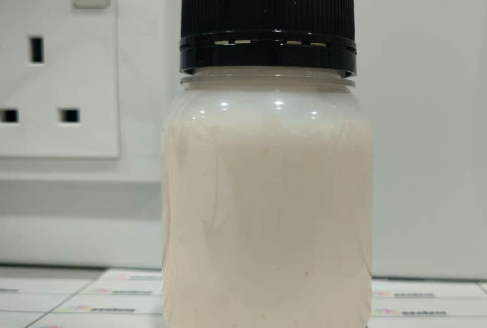 Natural Leave in Hair Conditioner